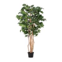 CANADIAN zöld műanyag művirág