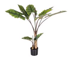 DIEFFENBACHIA zöld művirág 134cm