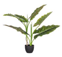 DIEFFENBACHIA zöld művirág 78cm