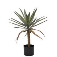 DRACAENA barna fém művirág