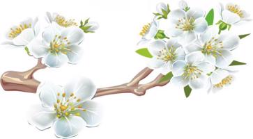 Falmatrica belső cseresznyevirág ágra 2280 50 x 100 cm