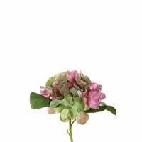 LEONARDO POESIA hortensia 18cm, rózsaszín