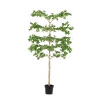 PITTOSPORUM zöld fém művirág