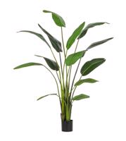 STERILIZIA művirág 235cm