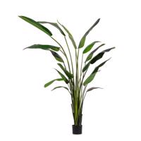 STERILIZIA zöld műanyag művirág