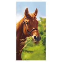 Strandtörülköző ló mintával Szélessé 70 cm | Hossz: 140 cm