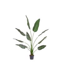 STRELITZIA zöld műanyag művirág