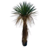 YUCCA sárga műanyag művirág